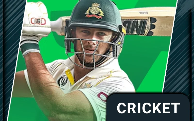 Bet on cricket at Stake India right now.