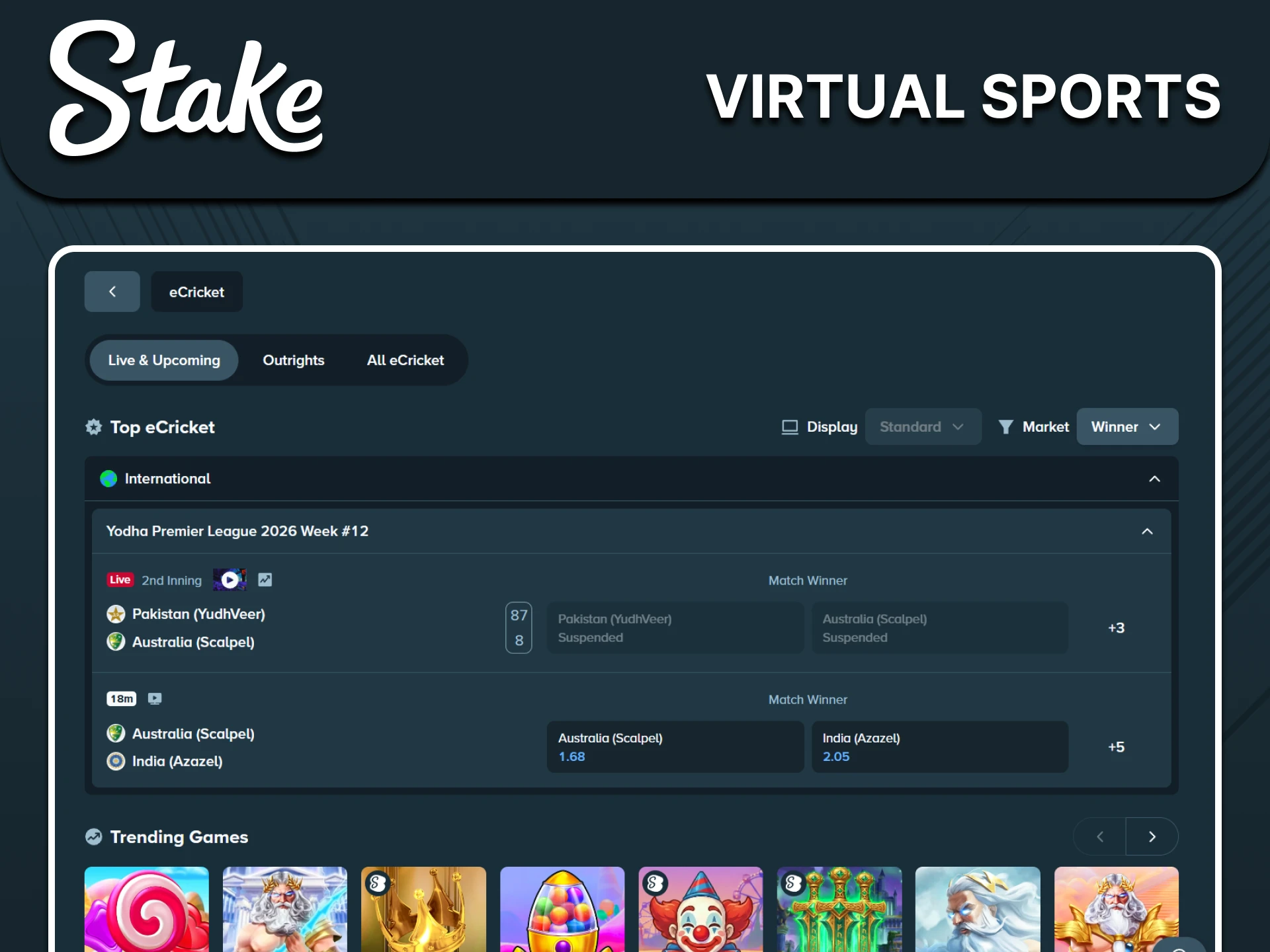 Visit the virtual sports section for betting on Stake.