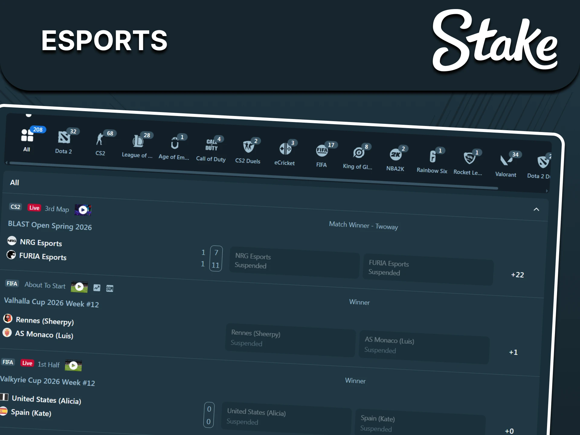 Visit the esports section for bets on Stake.