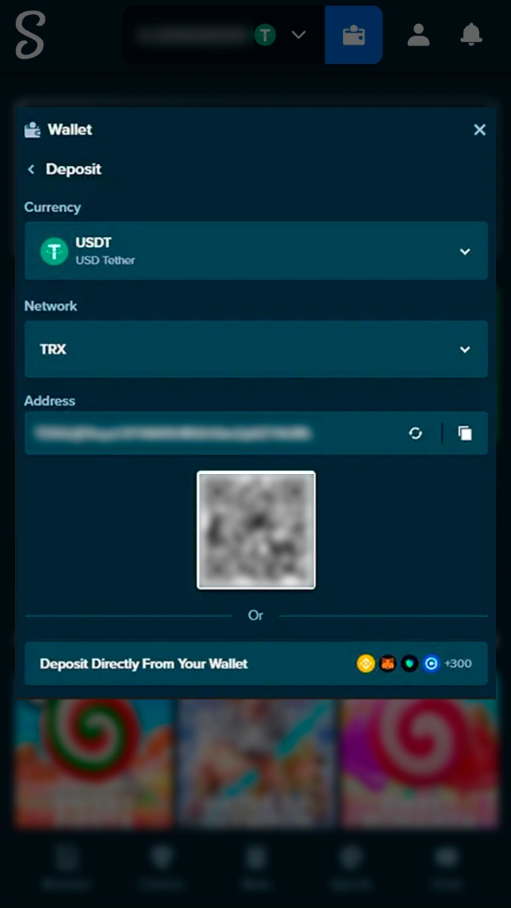 Fast INR and crypto deposit methods at Stake.