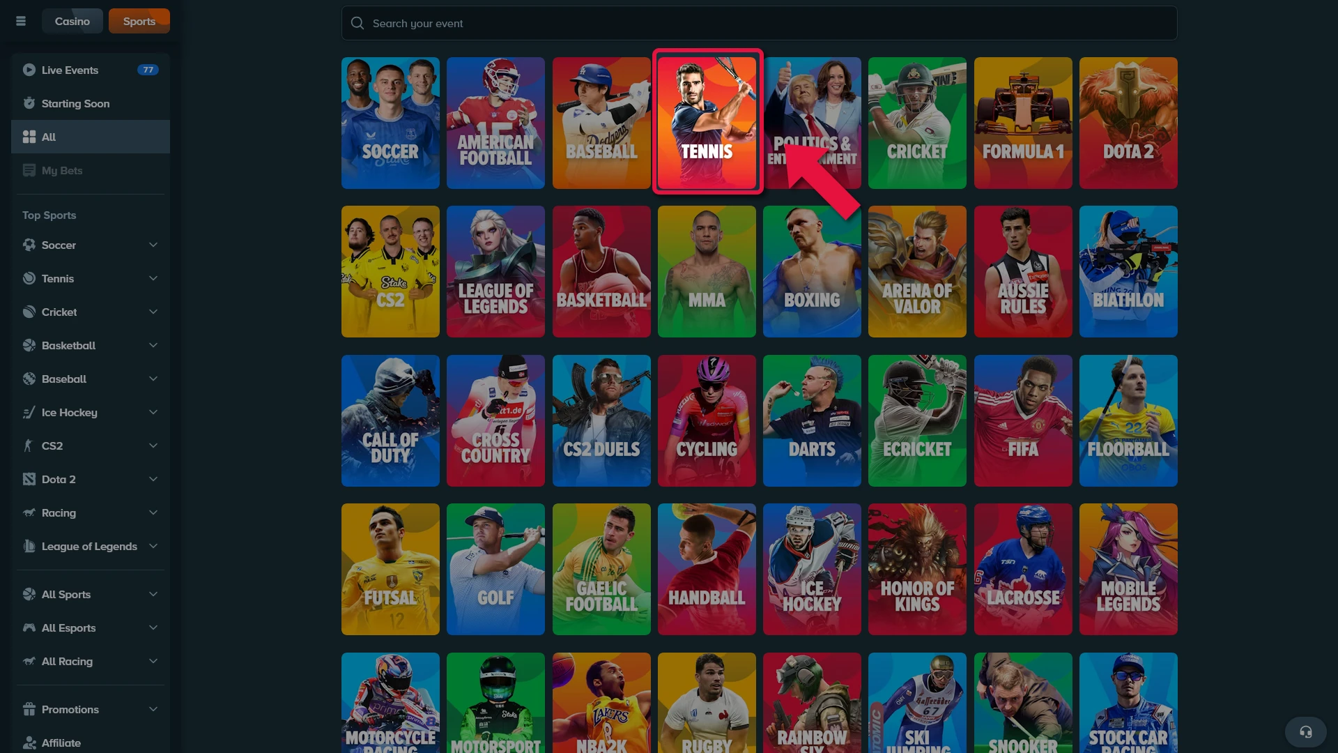Access the official Stake sportsbook for tennis betting in India.